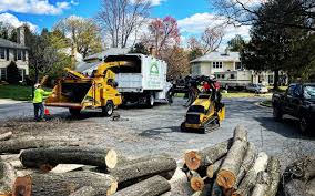 Best Tree Mulching  in Wewa, OK