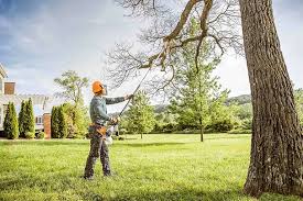 Best Lawn Mowing  in Wewa, OK