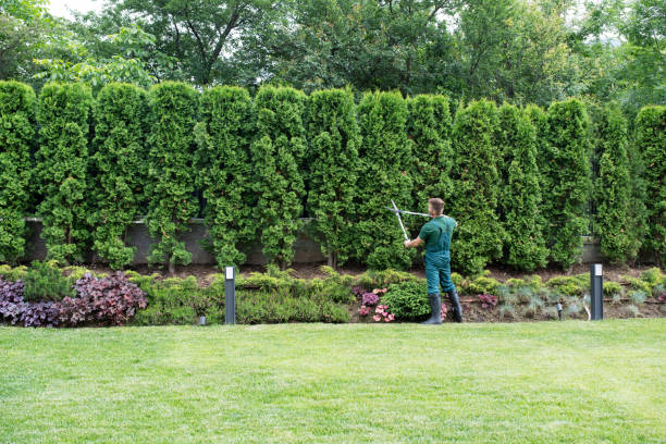 Best Lawn Watering Services  in Wewa, OK
