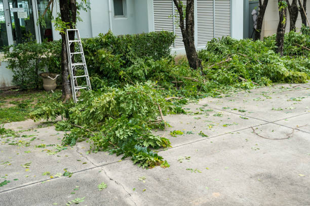 Best Hedge Trimming  in Wewa, OK
