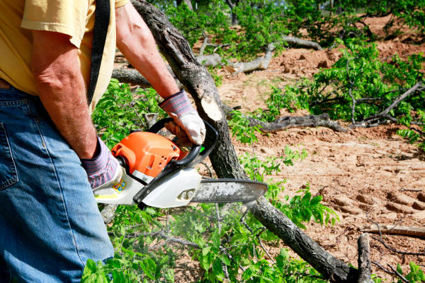 Lawn Maintenance Plans in Wewoka, OK